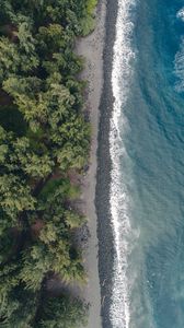 Preview wallpaper beach, coast, aerial view, water, trees