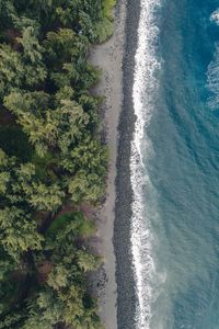 Preview wallpaper beach, coast, aerial view, water, trees