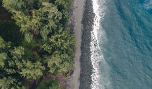 Preview wallpaper beach, coast, aerial view, water, trees