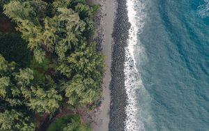 Preview wallpaper beach, coast, aerial view, water, trees