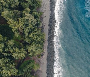 Preview wallpaper beach, coast, aerial view, water, trees