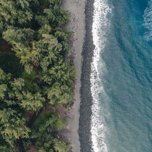 Preview wallpaper beach, coast, aerial view, water, trees