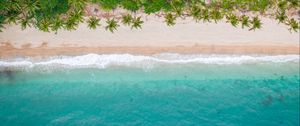 Preview wallpaper beach, coast, aerial view, sea, palm trees