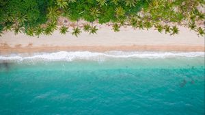 Preview wallpaper beach, coast, aerial view, sea, palm trees