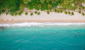 Preview wallpaper beach, coast, aerial view, sea, palm trees