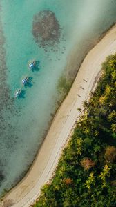 Preview wallpaper beach, coast, aerial view, palm, sea