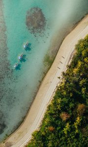 Preview wallpaper beach, coast, aerial view, palm, sea