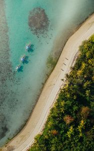 Preview wallpaper beach, coast, aerial view, palm, sea