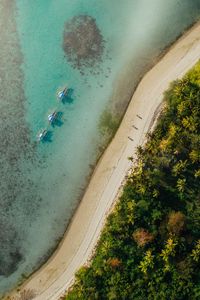 Preview wallpaper beach, coast, aerial view, palm, sea