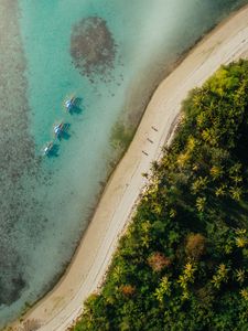 Preview wallpaper beach, coast, aerial view, palm, sea