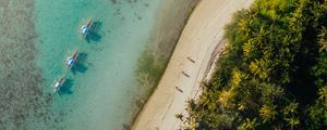 Preview wallpaper beach, coast, aerial view, palm, sea