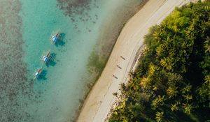 Preview wallpaper beach, coast, aerial view, palm, sea