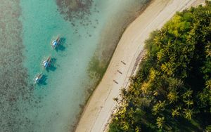 Preview wallpaper beach, coast, aerial view, palm, sea