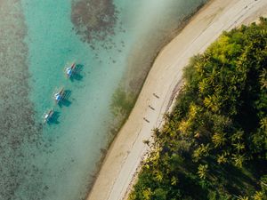 Preview wallpaper beach, coast, aerial view, palm, sea