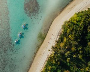 Preview wallpaper beach, coast, aerial view, palm, sea