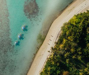 Preview wallpaper beach, coast, aerial view, palm, sea