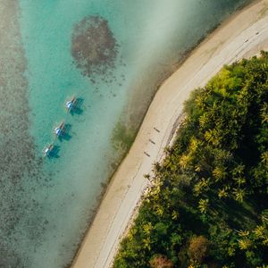 Preview wallpaper beach, coast, aerial view, palm, sea