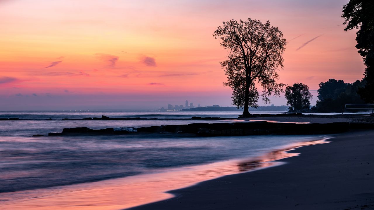 Wallpaper beach, coast, tree, dusk, dark