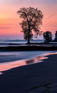 Preview wallpaper beach, coast, tree, dusk, dark
