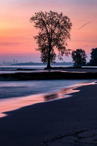 Preview wallpaper beach, coast, tree, dusk, dark