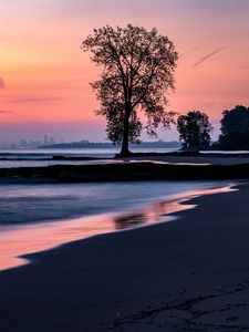 Preview wallpaper beach, coast, tree, dusk, dark