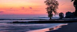 Preview wallpaper beach, coast, tree, dusk, dark