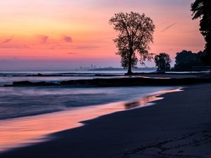 Preview wallpaper beach, coast, tree, dusk, dark