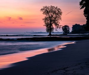 Preview wallpaper beach, coast, tree, dusk, dark