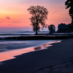 Preview wallpaper beach, coast, tree, dusk, dark