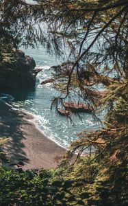 Preview wallpaper beach, coast, trees, rocks, landscape