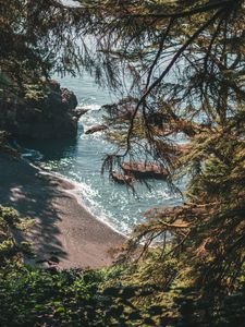 Preview wallpaper beach, coast, trees, rocks, landscape