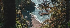 Preview wallpaper beach, coast, trees, rocks, landscape