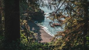 Preview wallpaper beach, coast, trees, rocks, landscape