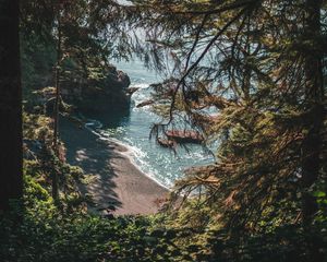 Preview wallpaper beach, coast, trees, rocks, landscape