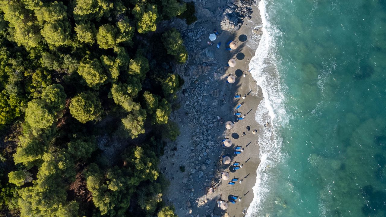 Wallpaper beach, coast, trees, sea, aerial view