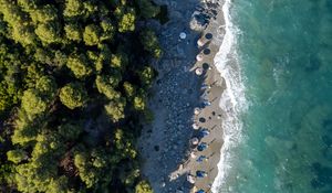 Preview wallpaper beach, coast, trees, sea, aerial view