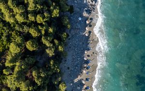 Preview wallpaper beach, coast, trees, sea, aerial view