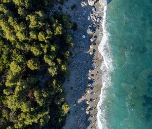 Preview wallpaper beach, coast, trees, sea, aerial view