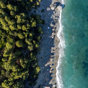 Preview wallpaper beach, coast, trees, sea, aerial view