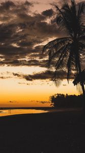 Preview wallpaper beach, dusk, dark, palm, silhouettes