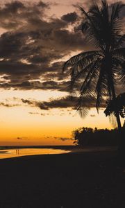 Preview wallpaper beach, dusk, dark, palm, silhouettes