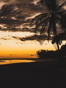 Preview wallpaper beach, dusk, dark, palm, silhouettes