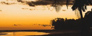 Preview wallpaper beach, dusk, dark, palm, silhouettes