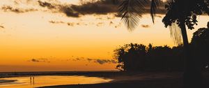 Preview wallpaper beach, dusk, dark, palm, silhouettes