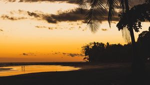 Preview wallpaper beach, dusk, dark, palm, silhouettes