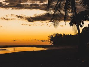 Preview wallpaper beach, dusk, dark, palm, silhouettes