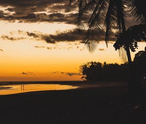 Preview wallpaper beach, dusk, dark, palm, silhouettes