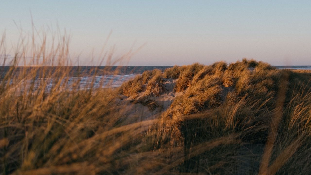 Wallpaper beach, grass, sea, water, landscape