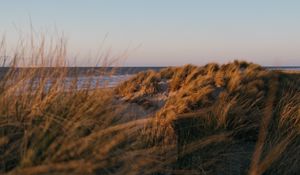 Preview wallpaper beach, grass, sea, water, landscape