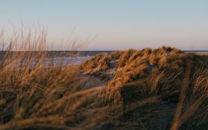 Preview wallpaper beach, grass, sea, water, landscape